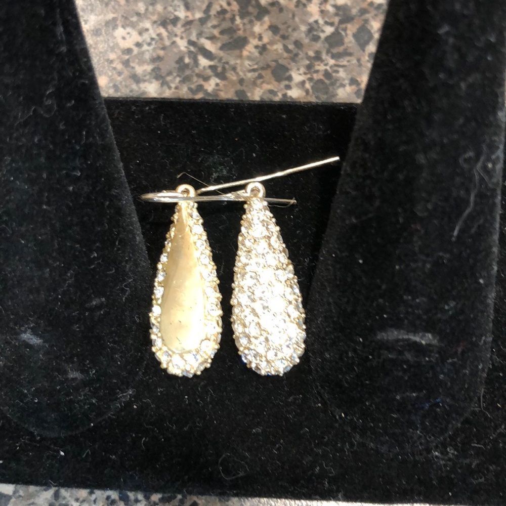 Pave fashion earrings